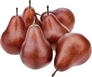 6 Pack Realistic Artificial Brown Pears - Fake Fruit Decor for Home Kitchen, Table Centerpiece, Party Display, Cabinet Shop Decoration,Brown